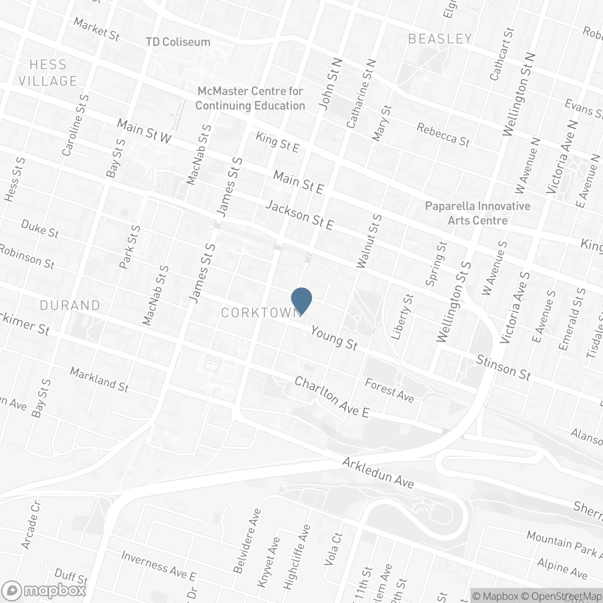 135 CATHARINE STREET S, Hamilton, Ontario L8N 2J6